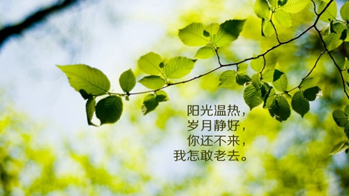 梦见轮渡