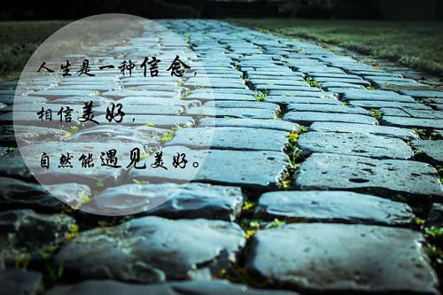 梦见金丝雀