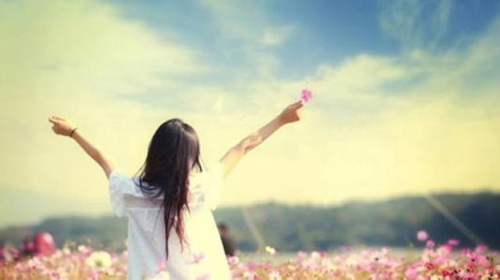 做梦梦见槐花 洋槐花