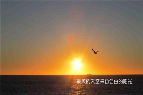 梦见结冰