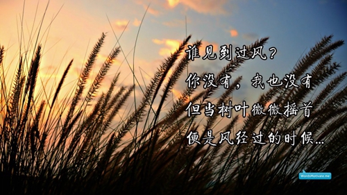 梦见鹞