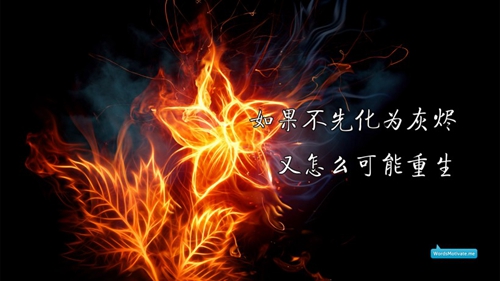 做梦梦见马