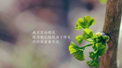 带美字的小清新网名