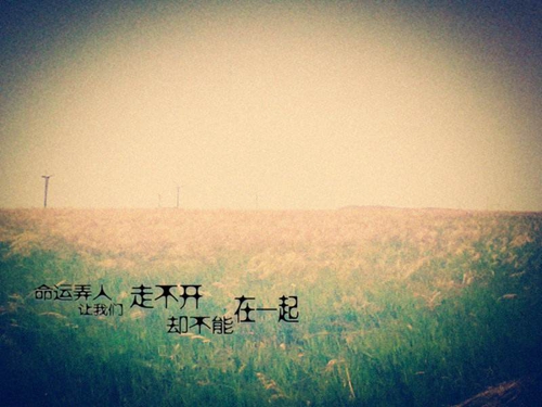 中年女简单网名