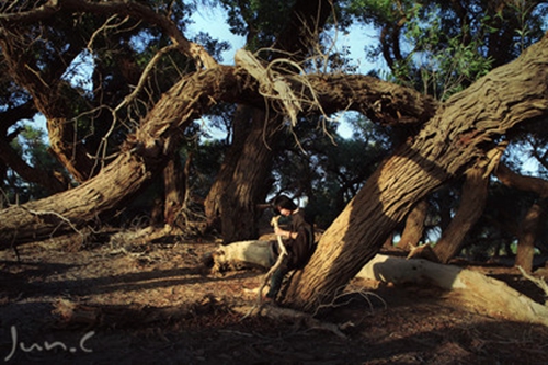 小清新网名唯美简短