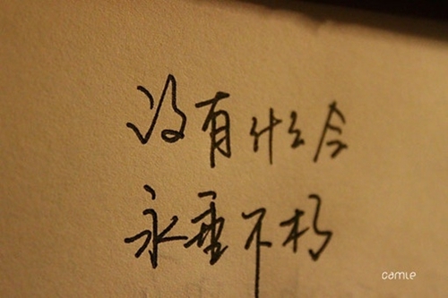 l英雄联盟小清新网名