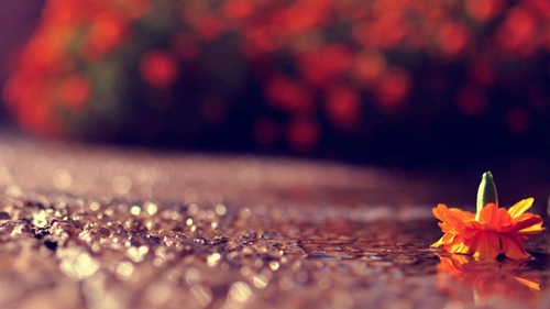 女生小清新网名2015款