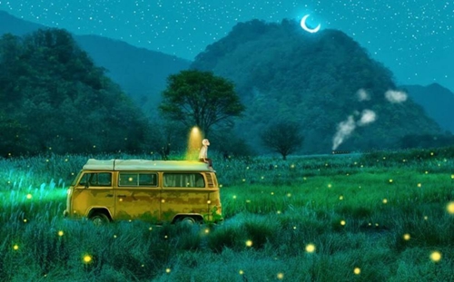 伤感小清新网名英文名