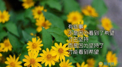 梦见苹果树是什么意思