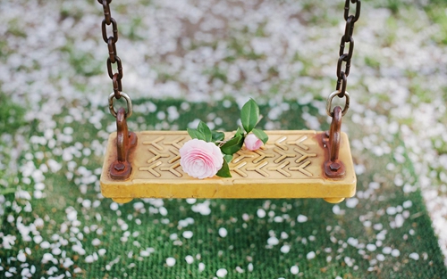梦见白菊花是什么意思