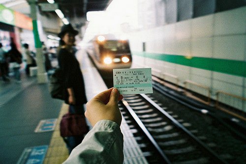 梦见玉米 包谷