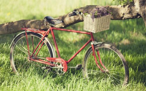 闺蜜网名两人男