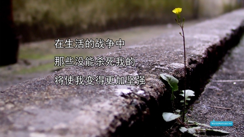 水氏男婴儿取名字寓意好（水姓男孩）