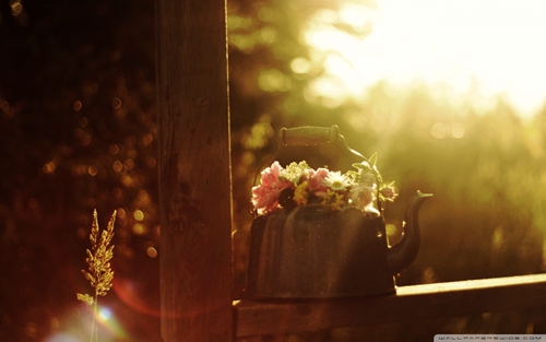 冷门有深意的网名悲伤