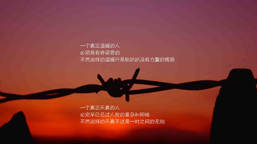 剩男网名