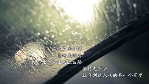 网名取哪些更好听