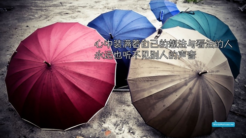 上网名章是什么意思啊