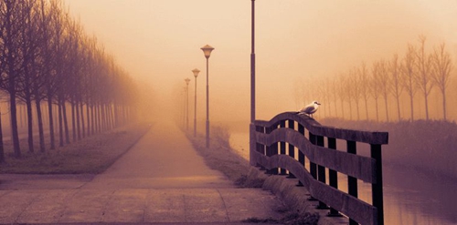 抖音最流行的网名是什么