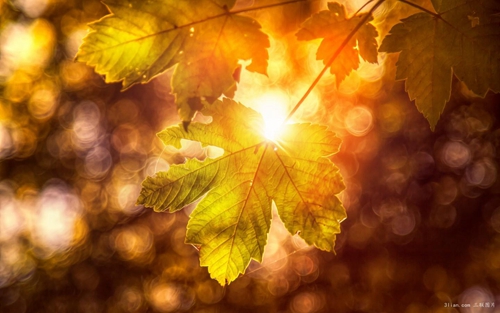 6人兄弟网名 6人兄弟网名