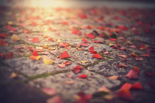 那些关于iu的网名女生