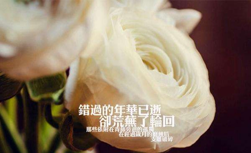 关于罪人的情侣网名