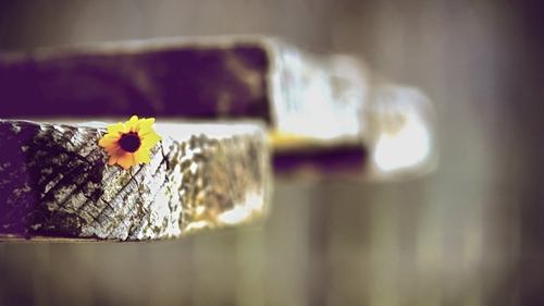 带有自己名字的闺蜜网名