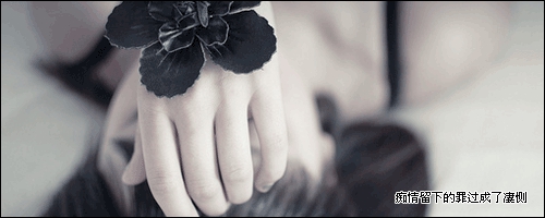 追风网名含义是什么