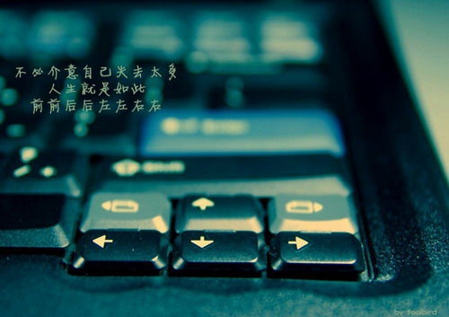 荒芜的网名大全男