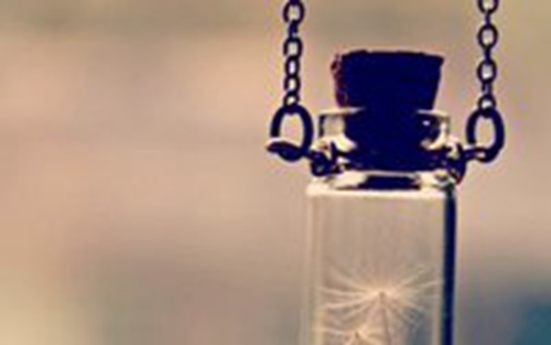 微信带燕的网名 微信带燕的网名