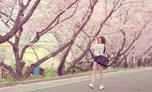 那些孤独的网名