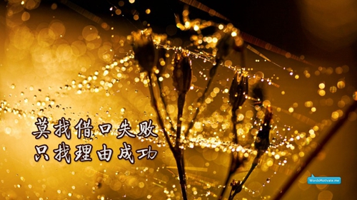 适合家族的网名