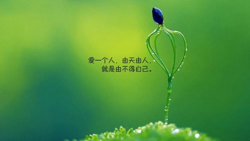 吃鸡网名四排名