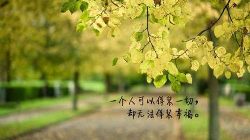 古风网名七字简单