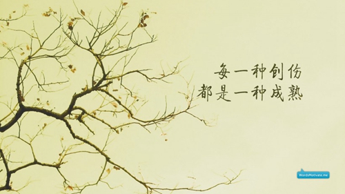 二字诗意情侣网名大全