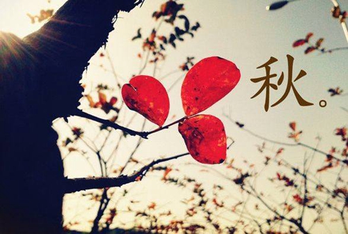 起什么网名能带来好运